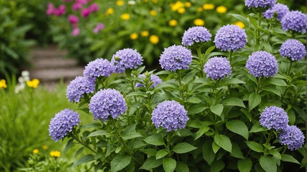 Les plantes aromatiques essentielles pour votre jardin